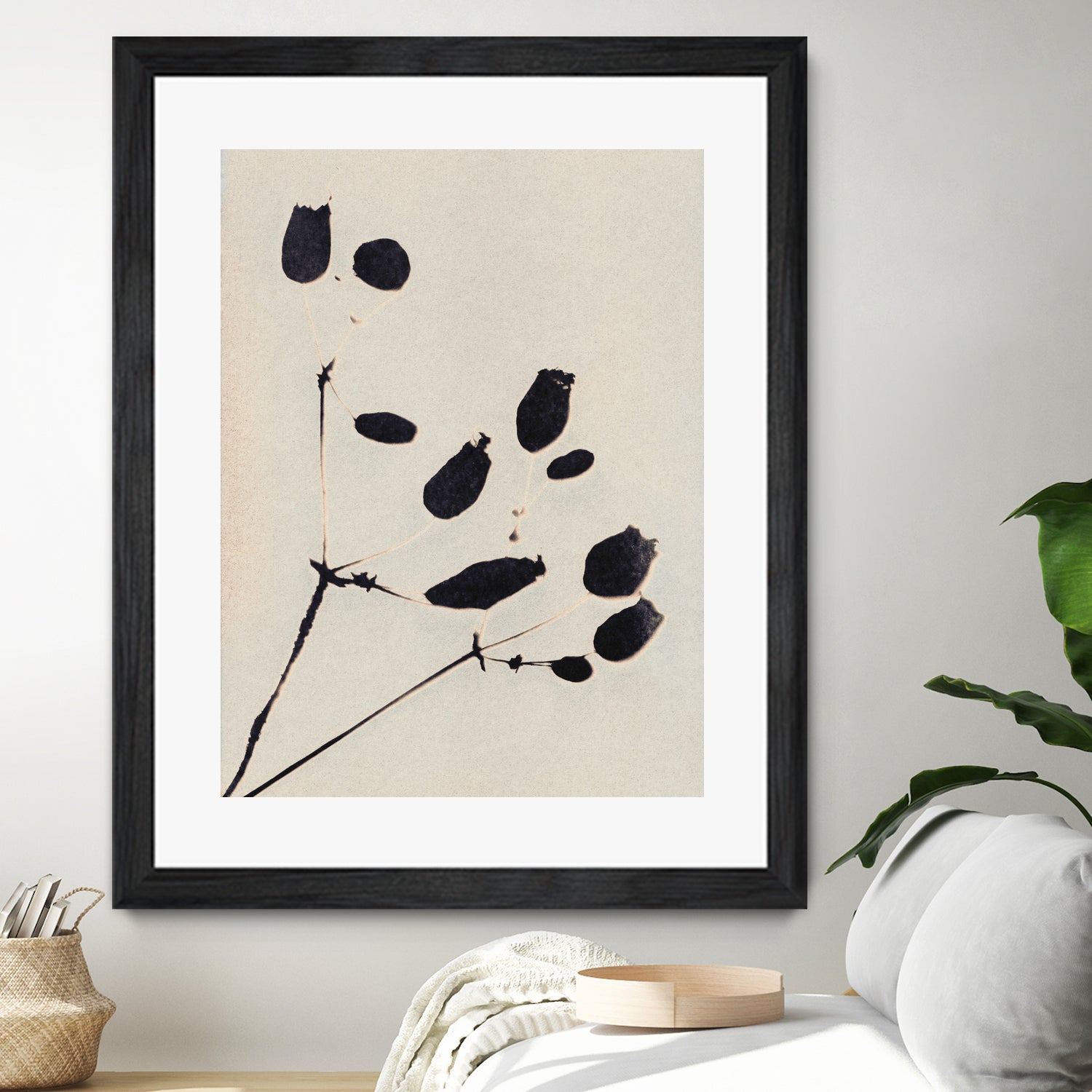 Wildflower In Bloom by Alisa Galitsyna on GIANT ART - monochrome  monochrome