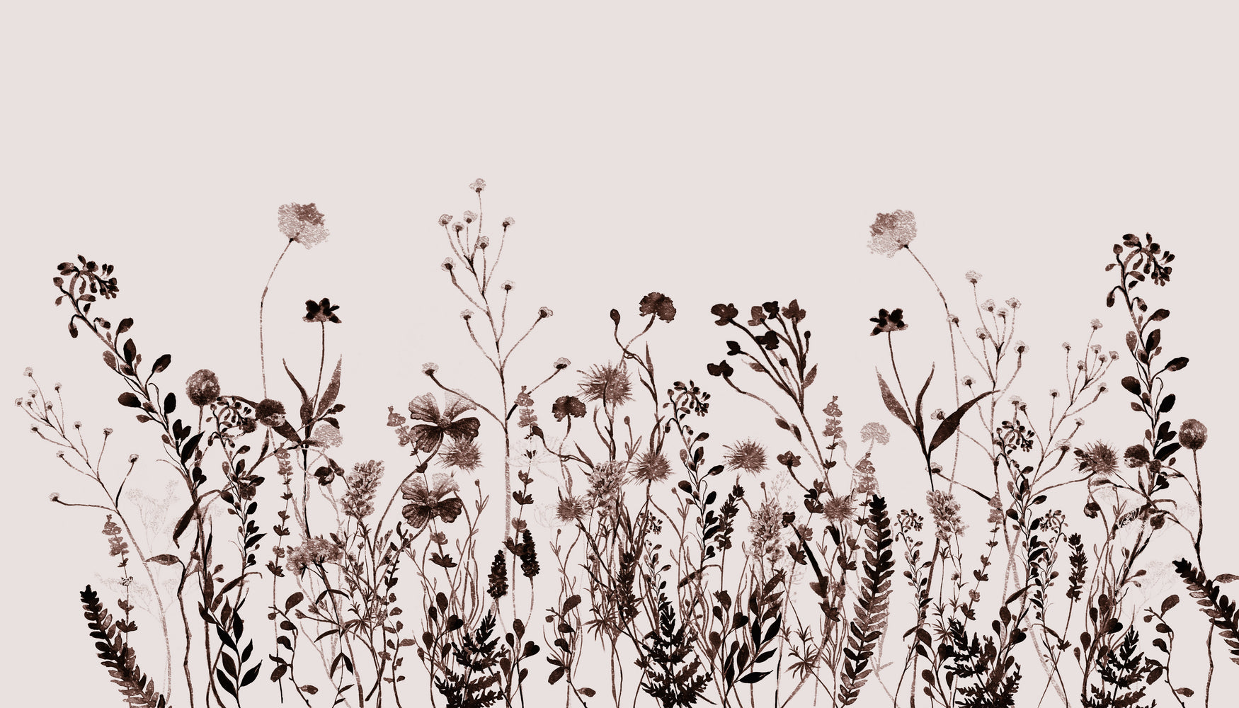 Wildflower Meadow Brown Summer Creme by Monika Strigel on GIANT ART - 15372 photography