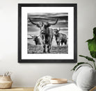 le trio by Stephane Pecqueux on GIANT ART - trois animal trois