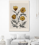 Charcoal Floral by Catalina Somolinos on GIANT ART - 11242 illustration