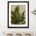 Palm by Dan Hobday on GIANT ART -  hiddentropics