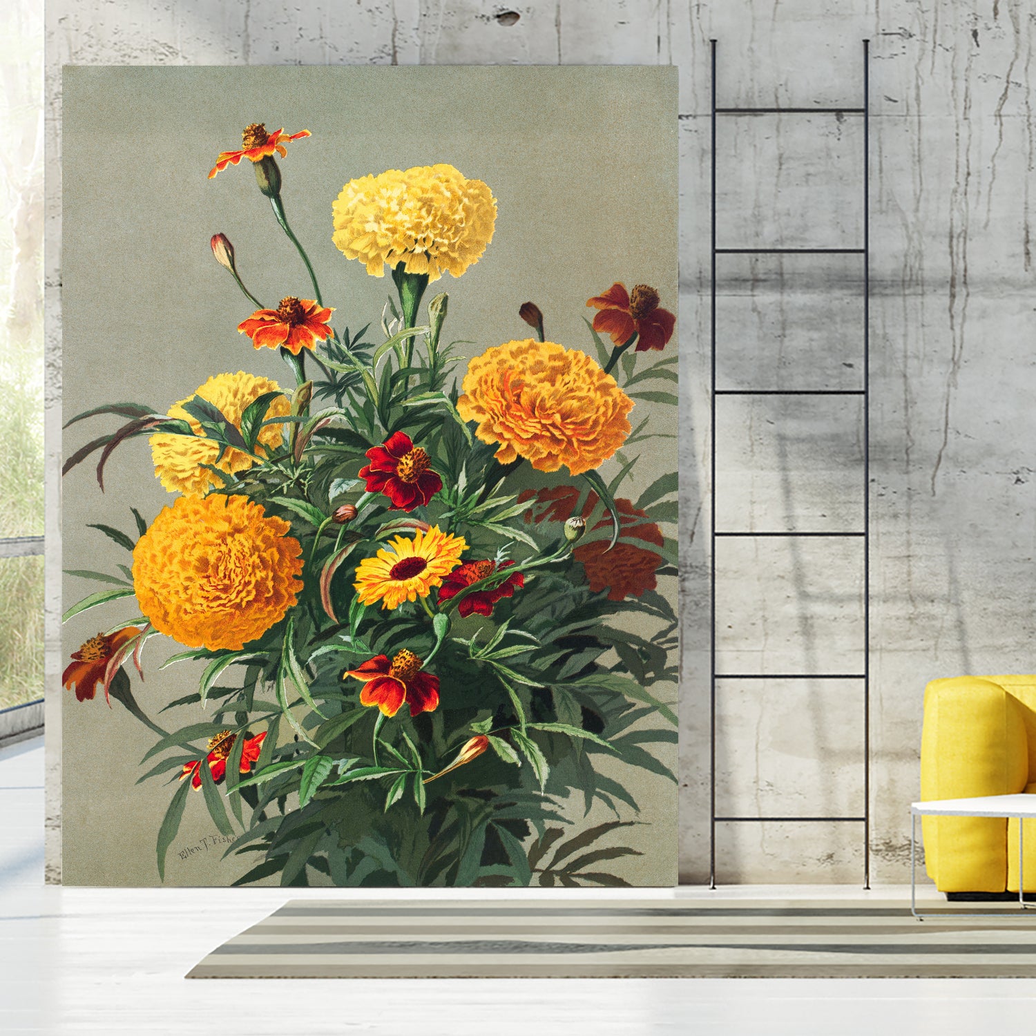 Marigolds by Ellen Thayer Fisher on GIANT ART - illustration ellen thayer fisher