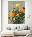 Marigolds by Ellen Thayer Fisher on GIANT ART - illustration ellen thayer fisher