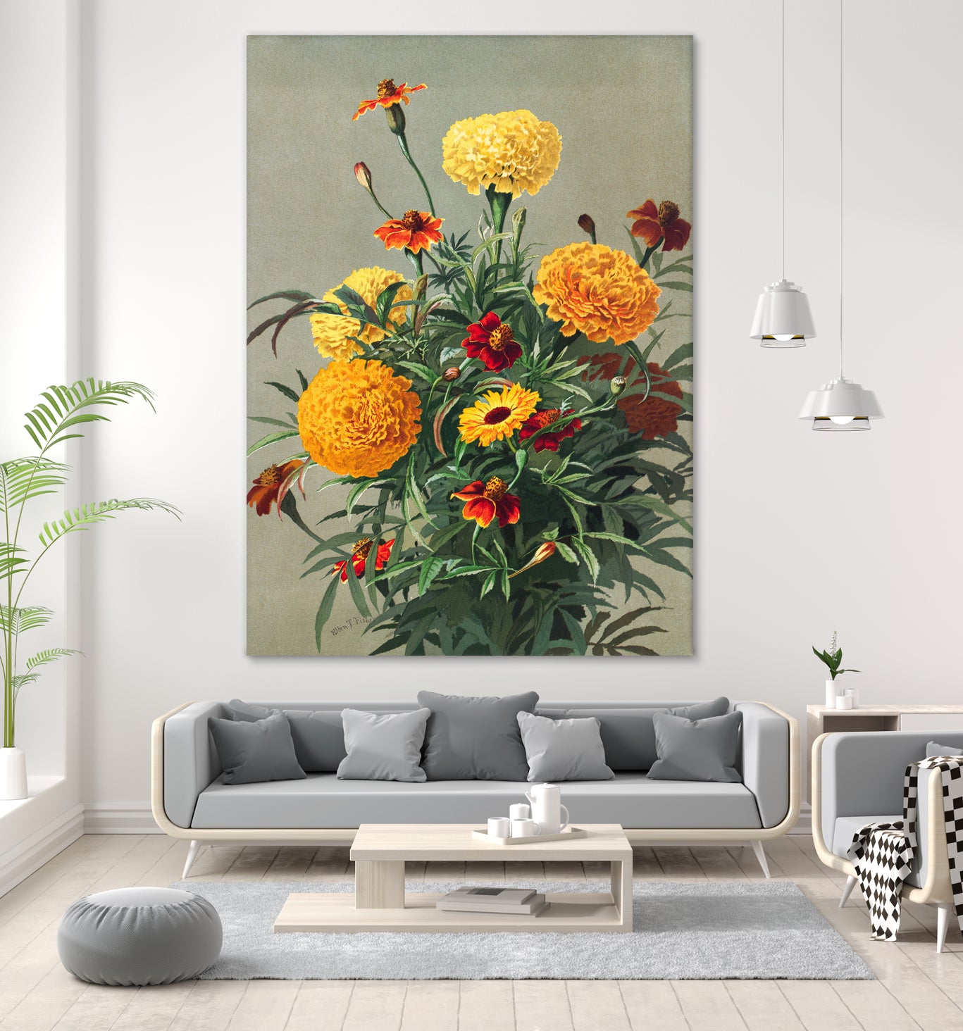 Marigolds by Ellen Thayer Fisher on GIANT ART - illustration ellen thayer fisher