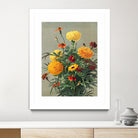 Marigolds by Ellen Thayer Fisher on GIANT ART - illustration ellen thayer fisher