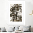 Sicilian Memories 17 by Mareike Bohmer on GIANT ART -  botany