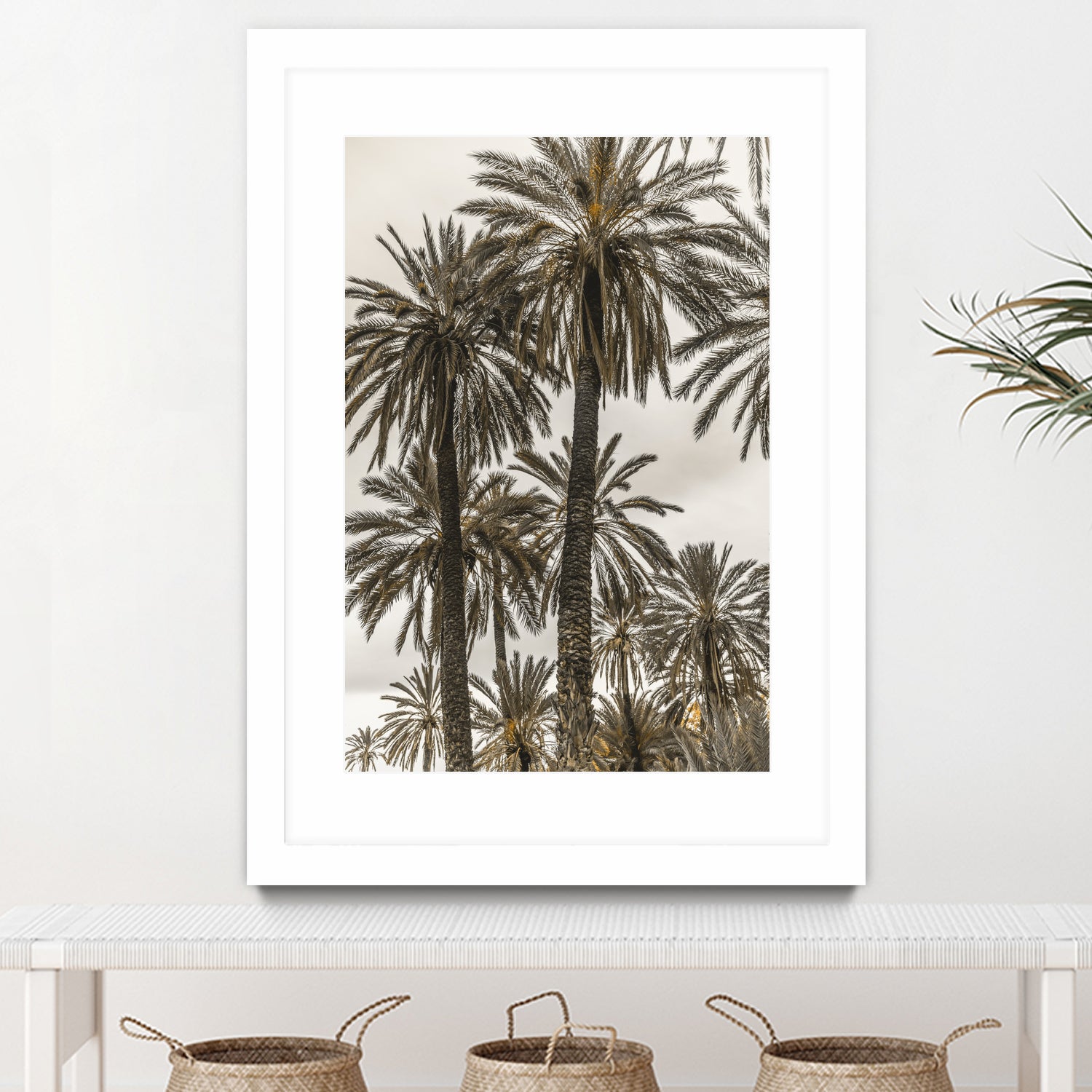 Sicilian Memories 17 by Mareike Bohmer on GIANT ART -  botany