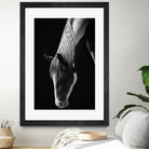 Quiet Strength by Frank Ma on GIANT ART - horse photography horse