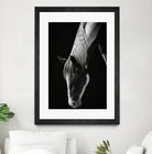 Quiet Strength by Frank Ma on GIANT ART - horse photography horse