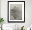 Swan lake by By PEJ on GIANT ART -  botanical 