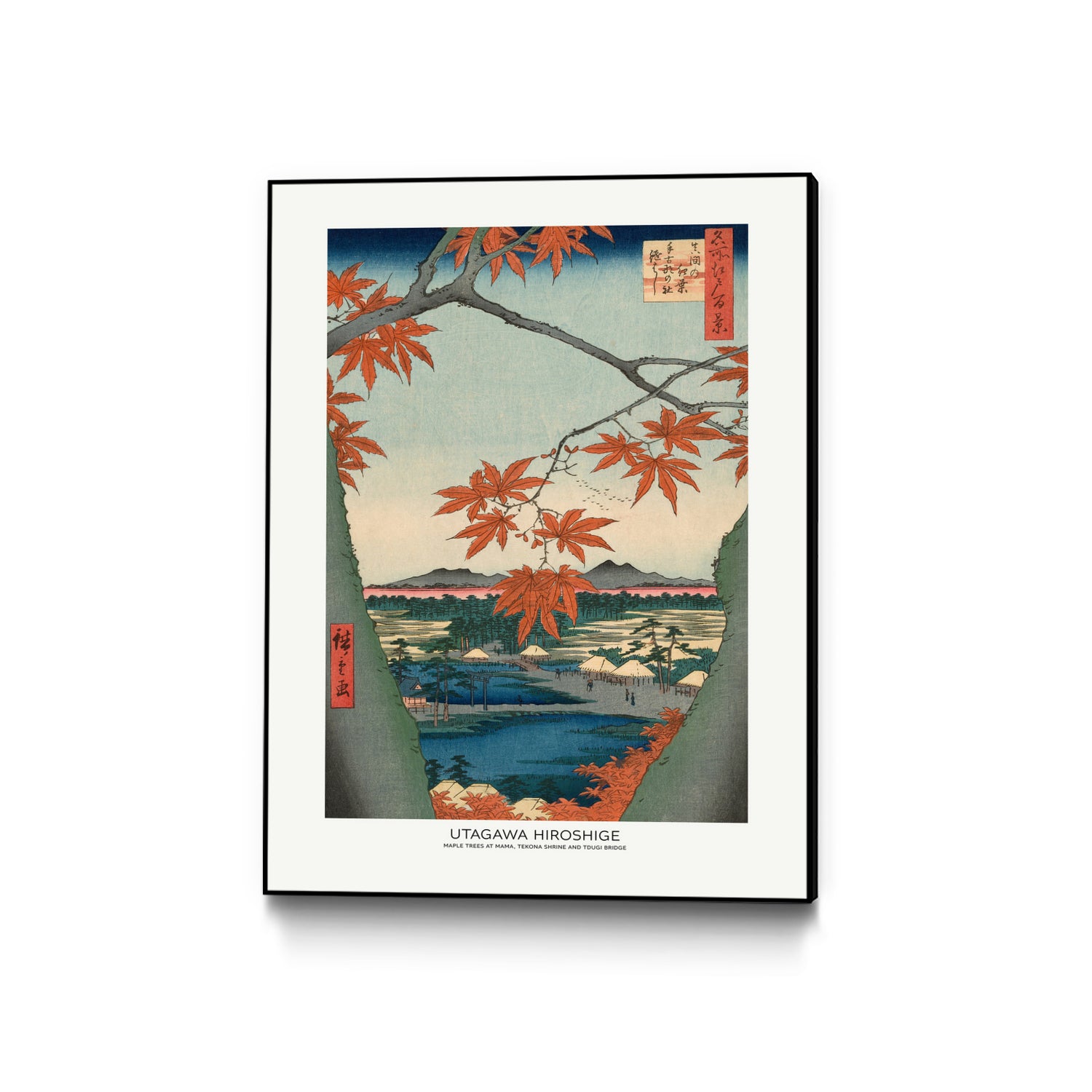 PUUID-PX3462810_CFB3040