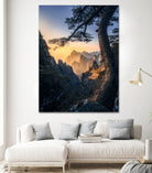 Forests towering over endless mountains by Yuan Cui on GIANT ART -  photography 