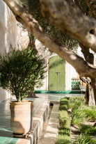 Le Jardin Secret by Henrike Schenk on GIANT ART - marrakech botanical marrakech