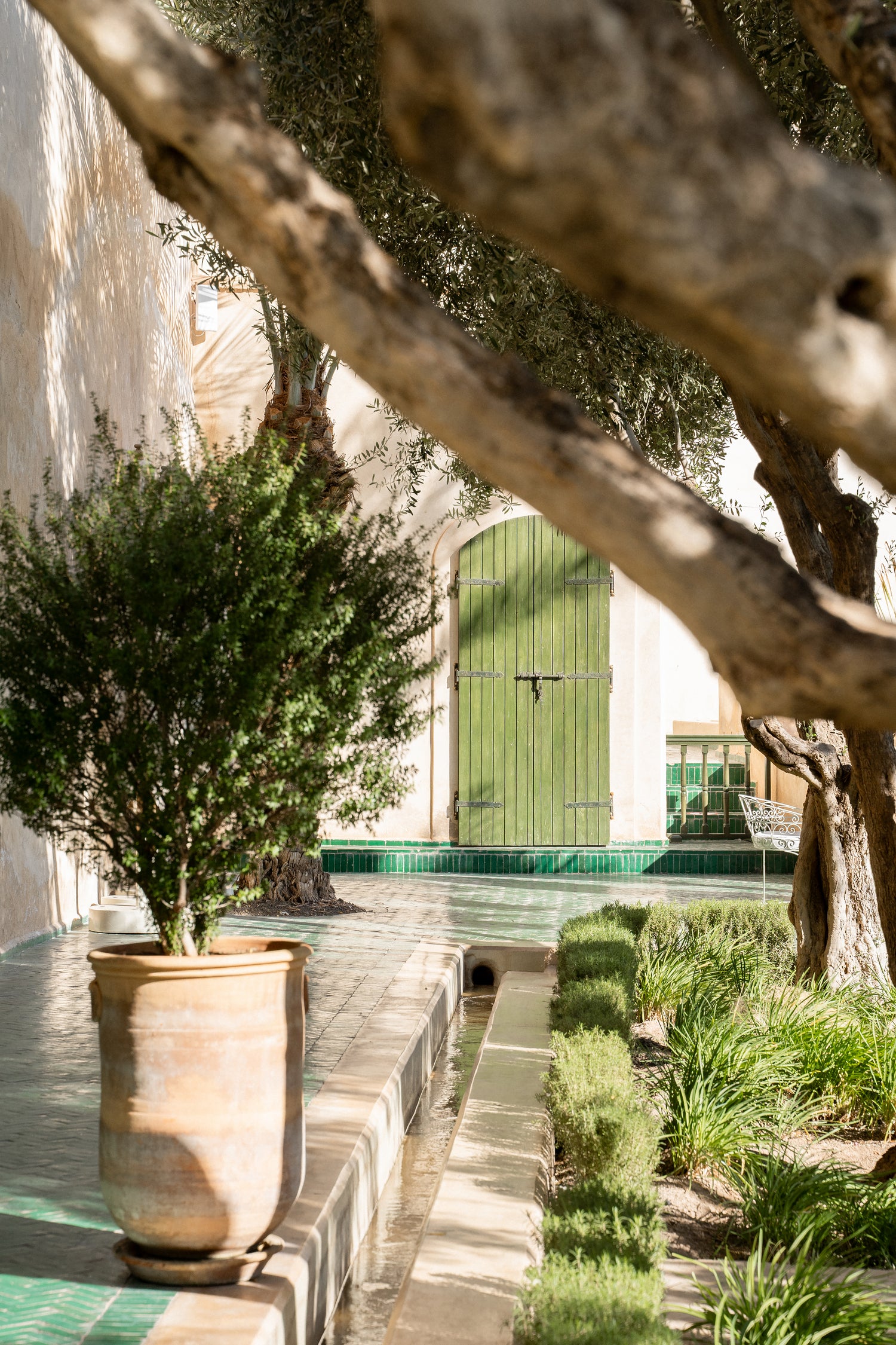 Le Jardin Secret by Henrike Schenk on GIANT ART - marrakech botanical marrakech