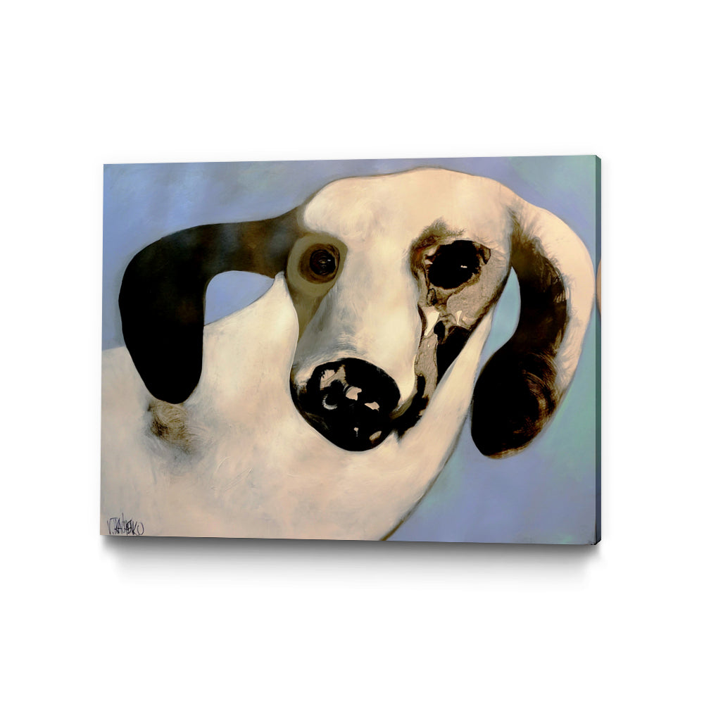 PUUID-PX3486314_GR4030