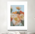 PUUID-PX3510405_MFW3040