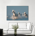 Angels of Camargue by Rostovskiy on GIANT ART - animals horse