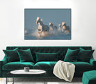 Angels of Camargue by Rostovskiy on GIANT ART - animals horse