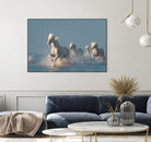 Angels of Camargue by Rostovskiy on GIANT ART - animals horse