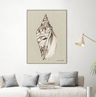 Shell on Burlap II by Lanie  Loreth on GIANT ART - coastal shell