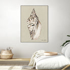 Shell on Burlap II by Lanie  Loreth on GIANT ART - coastal shell