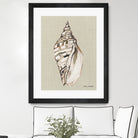 Shell on Burlap II by Lanie  Loreth on GIANT ART - coastal shell