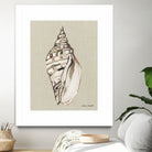 Shell on Burlap II by Lanie  Loreth on GIANT ART - coastal shell