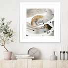 Gray Paint Abstract with Gold by Kat Papa on GIANT ART - abstract gray