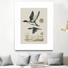 Lake Meditation ll by Victoria Barnes on GIANT ART - animals nature birds