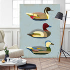 Decoy Ducks I by June Erica Vess on GIANT ART - animals nature birds