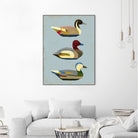 Decoy Ducks I by June Erica Vess on GIANT ART - animals nature birds