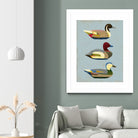 Decoy Ducks I by June Erica Vess on GIANT ART - animals nature birds