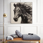 Western Plains Portrait II by Walker Noble on GIANT ART - animals nature horses