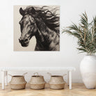 Western Plains Portrait II by Walker Noble on GIANT ART - animals nature horses