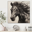 Western Plains Portrait II by Walker Noble on GIANT ART - animals nature horses