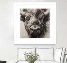 Western Plains Portrait I by Walker Noble on GIANT ART - animals nature horses