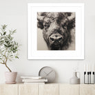 Western Plains Portrait I by Walker Noble on GIANT ART - animals nature horses