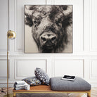 Western Plains Portrait I by Walker Noble on GIANT ART - animals nature horses