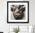 Western Plains Portrait I by Walker Noble on GIANT ART - animals nature horses