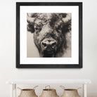 Western Plains Portrait I by Walker Noble on GIANT ART - animals nature horses