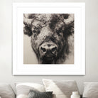 Western Plains Portrait I by Walker Noble on GIANT ART - animals nature horses