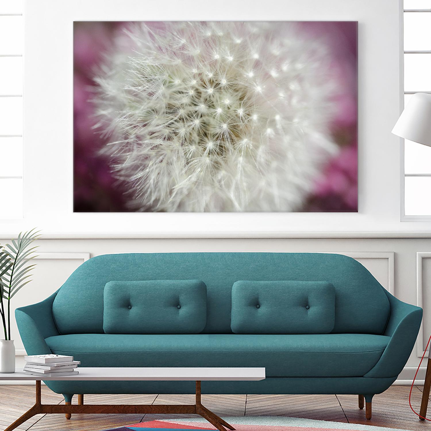 Dandelion on a rose by Nick Jackson on GIANT ART - pink photo art