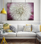 Dandelion on a rose by Nick Jackson on GIANT ART - pink photo art