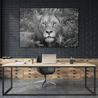 Into the eyes of the lion by Nick Jackson on GIANT ART - white animals