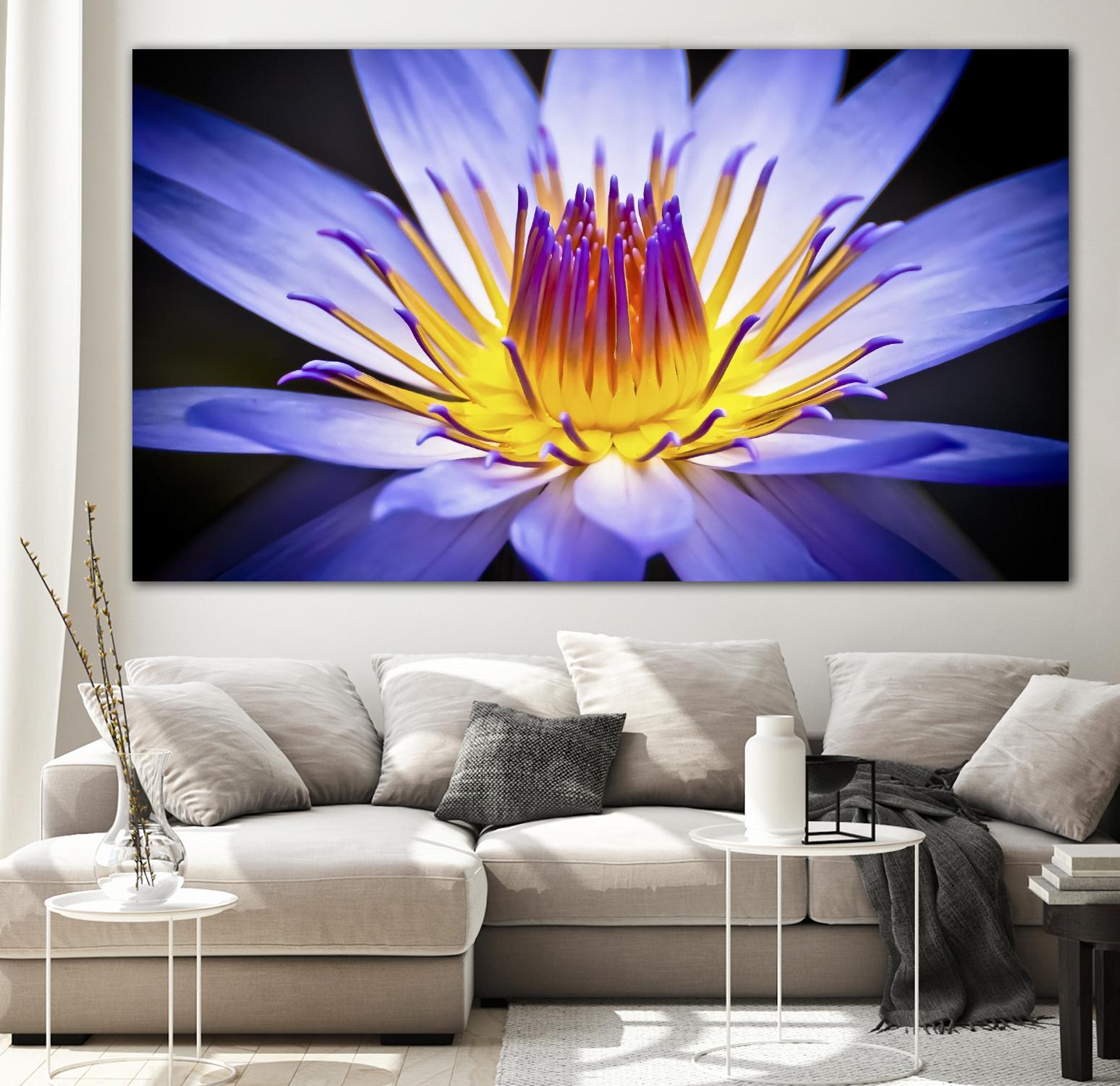 Kew Gardens Waterlily by Nick Jackson on GIANT ART - yellow floral