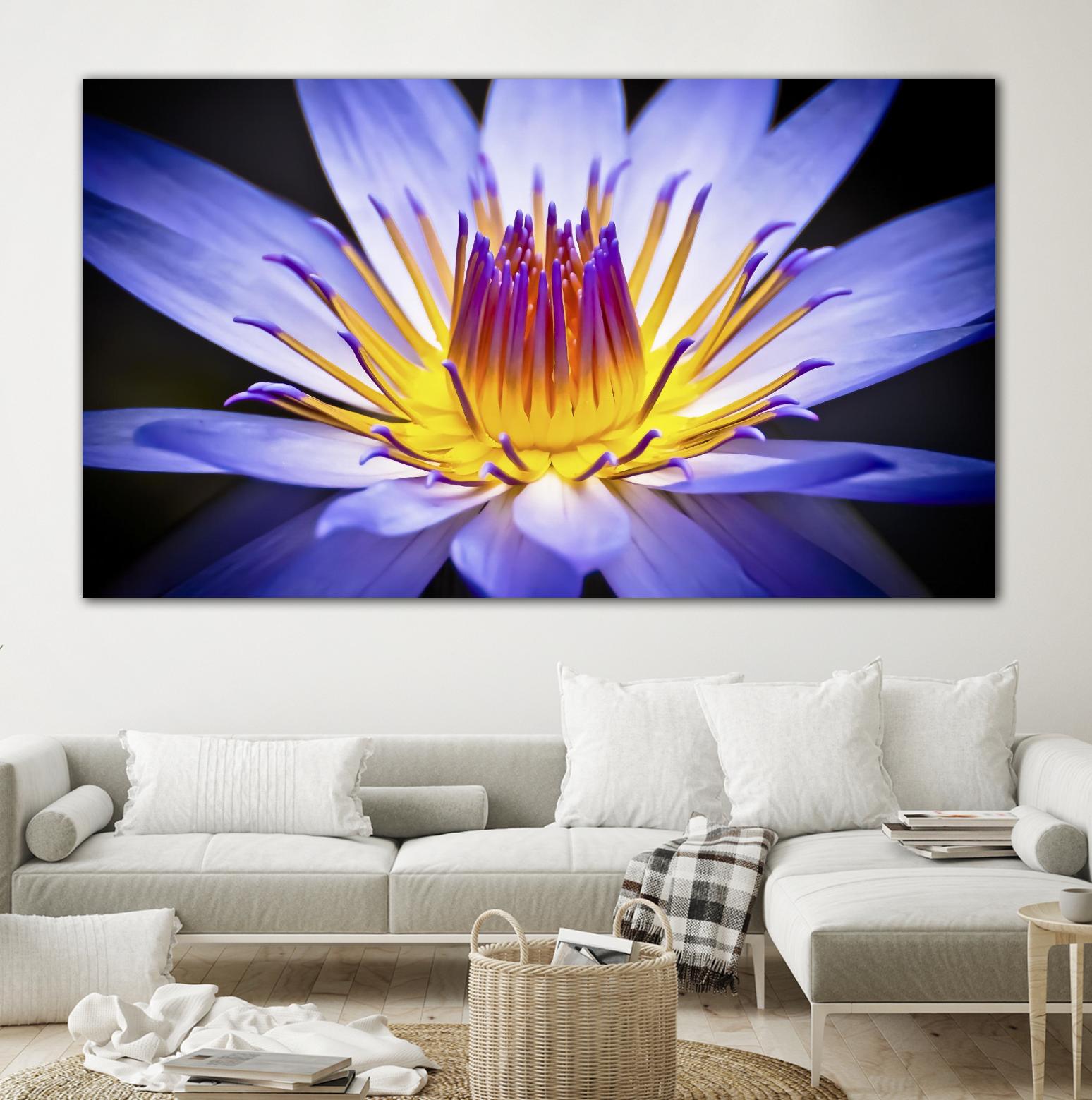 Kew Gardens Waterlily by Nick Jackson on GIANT ART - yellow floral