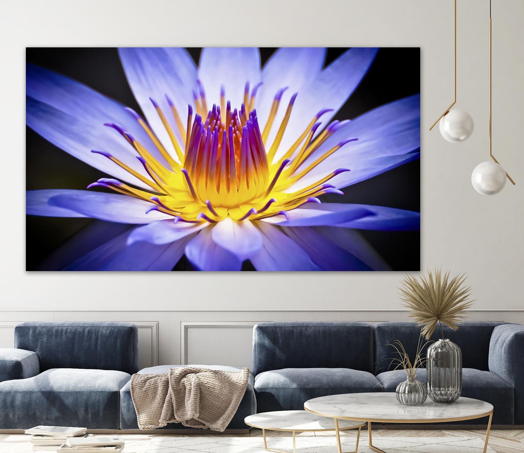 Kew Gardens Waterlily by Nick Jackson on GIANT ART - yellow floral