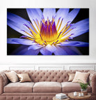 Kew Gardens Waterlily by Nick Jackson on GIANT ART - yellow floral