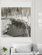 In the Deep Woods by Ron Simpkins on GIANT ART - white winter scenes