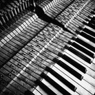 Piano XVI by Jean-François Dupuis on GIANT ART - white black & white piano